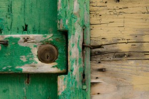 IMG_2846#2