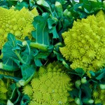 brocolli