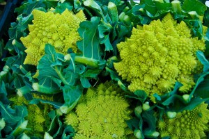 brocolli