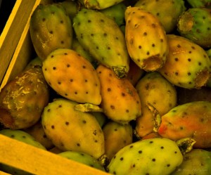 Prickly Pear Fruit (Fichi d'India), Sicily