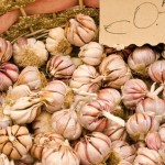 garlic