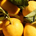 Sicilian Lemons