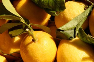 Sicilian Lemons