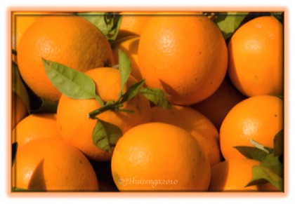 Sicilian oranges