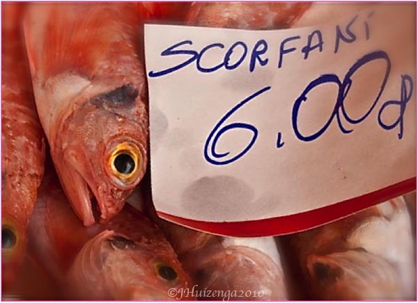 Sicilian Scorfani Fish, copyright Jann Huizenga