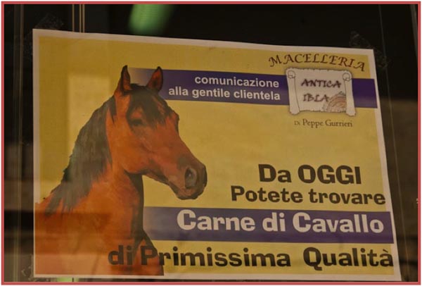 Ad for horse meat in Sicily, copyright Jann Huizenga