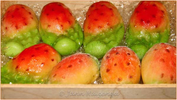 Sicilian marzipan fruit, copyright Jann Huizenga