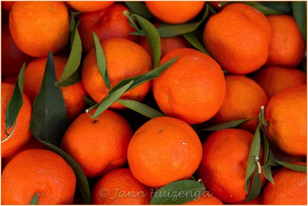 Sicilian Mandarin Oranges, Copyright Jann Huizenga