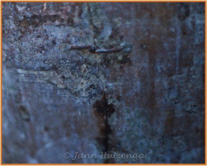 Old Stitch in a Sicilian Terra Cotta Oil Jar, copyright Jann Huizenga