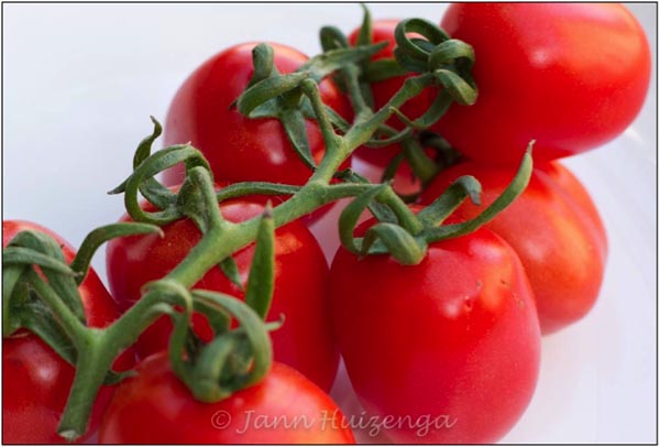 Sicilian Plum Tomatoes, copyright Jann Huizenga