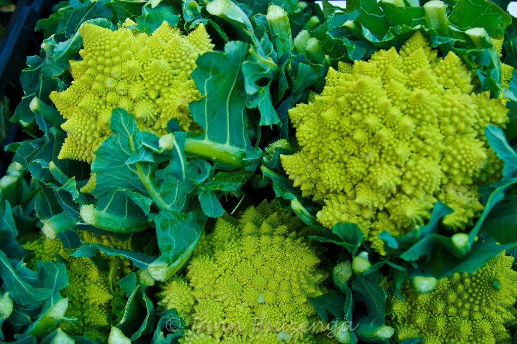 Broccolini in Sicily, copyright Jann Huizenga