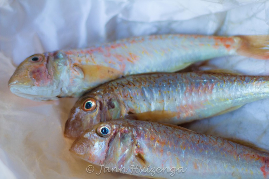 Fish from Sicilian Waters; copyright Jann Huizenga