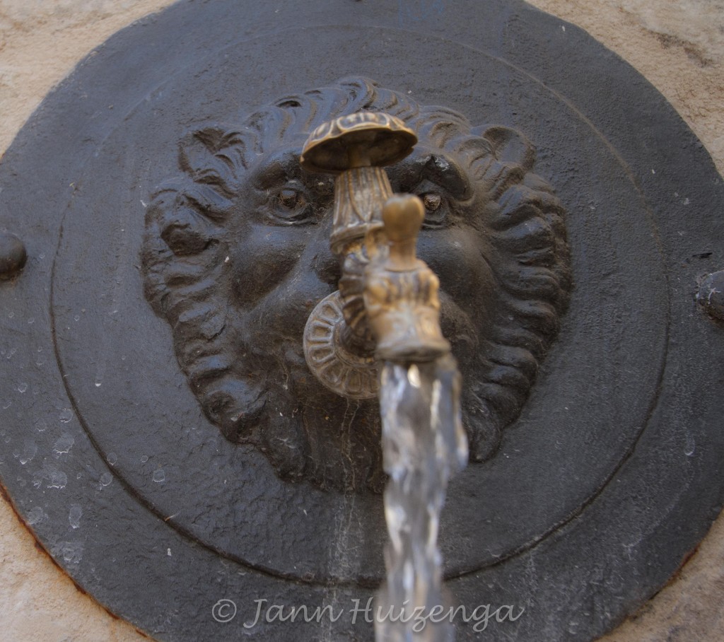 Lion Fountain in Sicily, copyright Jann Huizenga