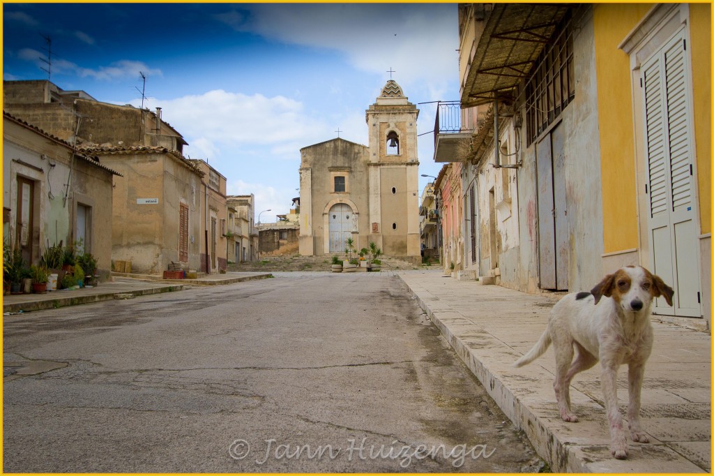 Dog in Acate, Sicily, copyright Jann Huizenga